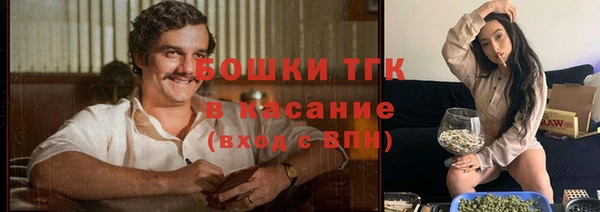 mdpv Карпинск