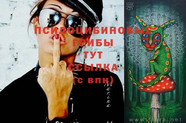 прущий лед Касимов