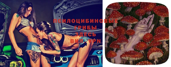 соль ск Карталы