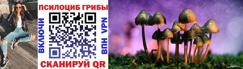 Галлюциногенные грибы мухоморы  Купить закладки  Канск 
